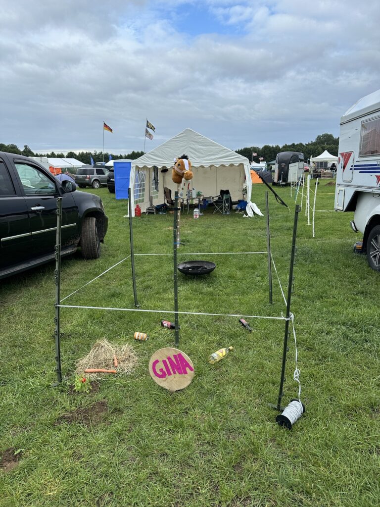 Versoffenes Hobby Horse
